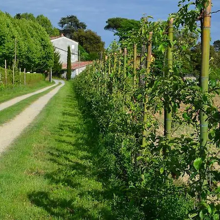 Al Podere Di Rosa Feriegård *
